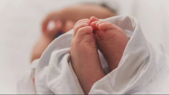 KPAI Ungkap Dugaan Keterlibatan Lembaga Negara dalam Perdagangan Bayi ke Singapura